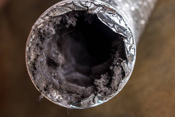 Best Duct Cleaning for Offices  in Marlette, MI