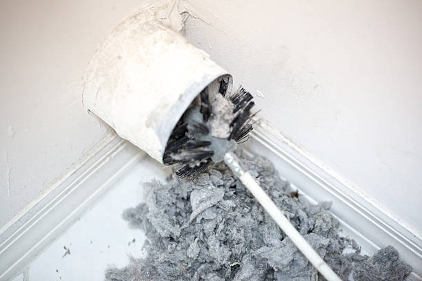 Best Air Vent Cleaning Services  in Marlette, MI